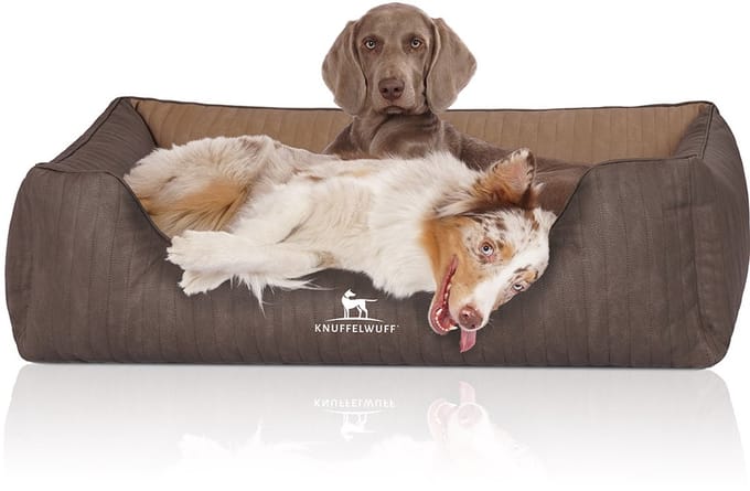 Knuffelwuff Orthopedisch hondenbed Outlander van laser-gewatteerd kunstleer XL 105 x 75cm