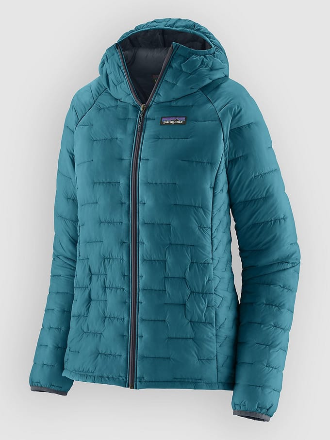 Patagonia Micro Puff Hoody Jas blauw
