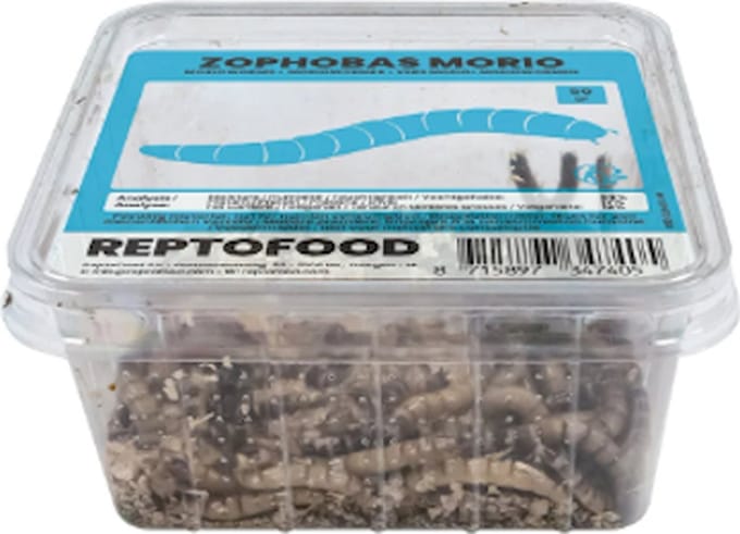 Repto Levende Moriowormen 1000 gram