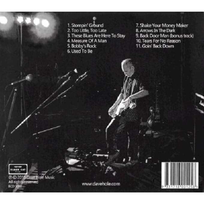 Goin' Back Down - Dave Hole
