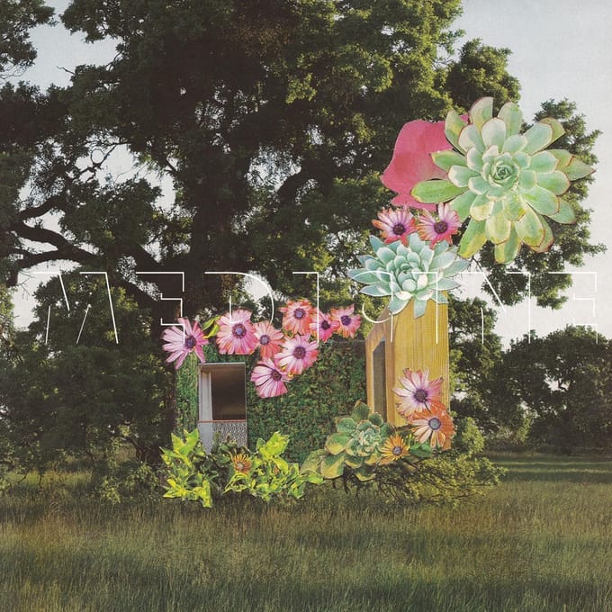 Medicine - Home Everywhere (LP)