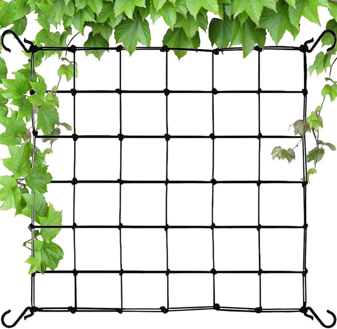 Elastisch planten net - 60 x 60 cm - met 4 haken - nylon net voor fruit- en groentetuin .