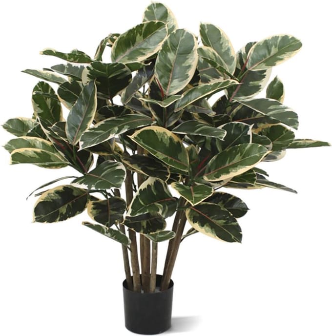 Elastica Robusta kunstplant 100cm