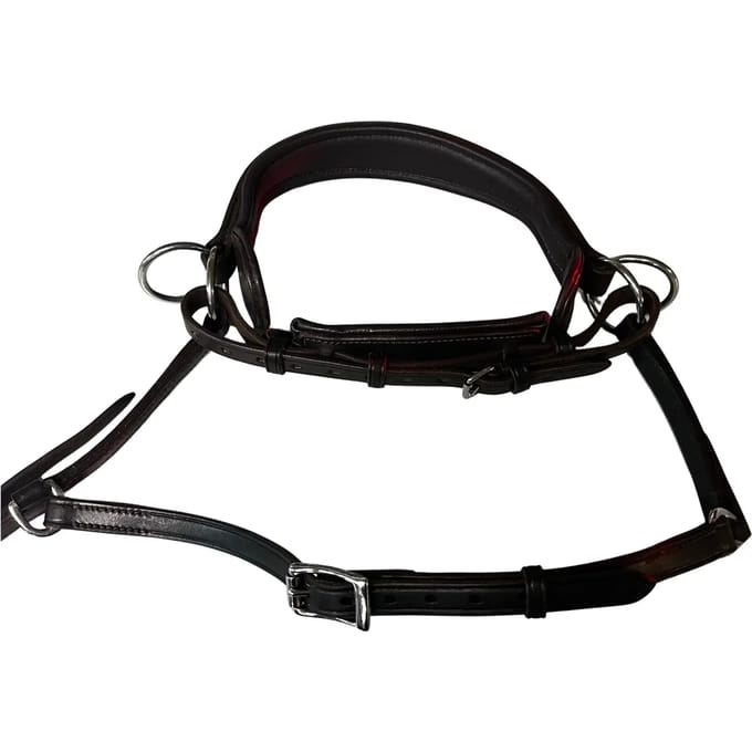 Bitloze hoofdstellen voor paarden Edix Saddles ED2-Grace