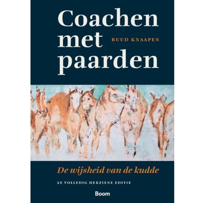 Coachen Met Paarden - Ruud Knaapen