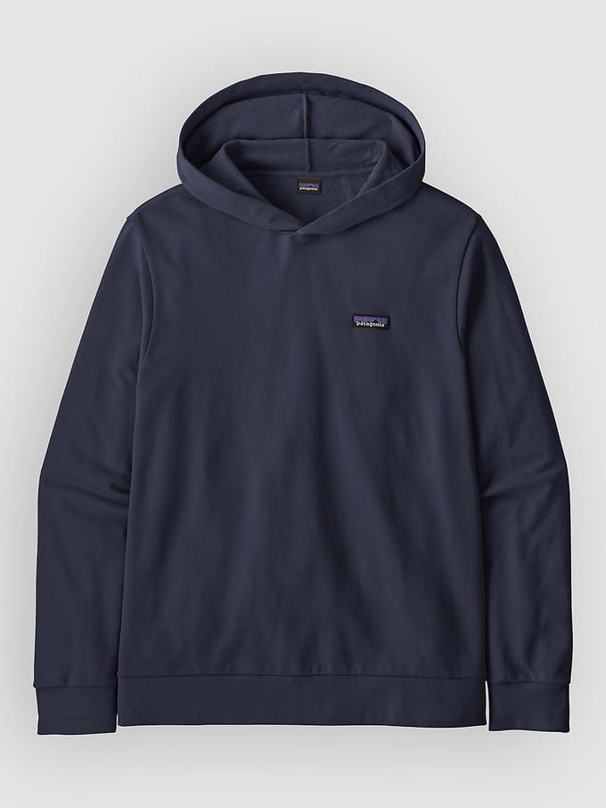 Patagonia Daily Hoodie blauw