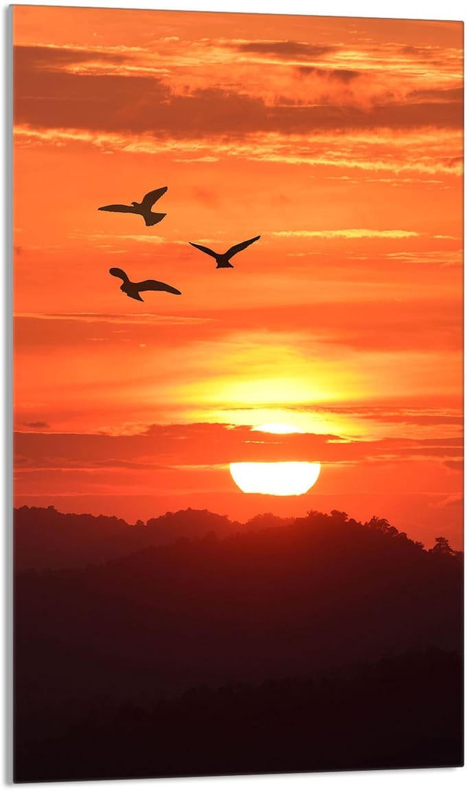 TMK ArtDeko - Snijplank - Glas - 30x52 cm - Zonneprint
