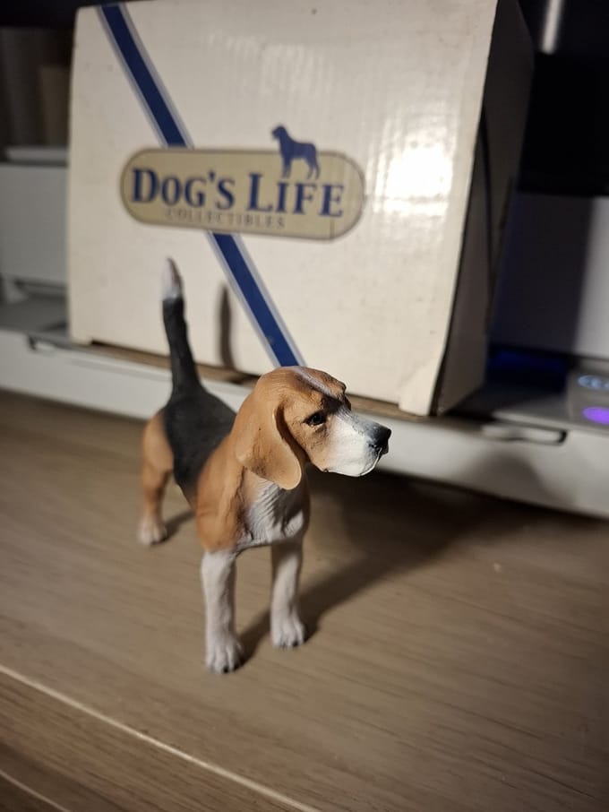 beeld hond beagle