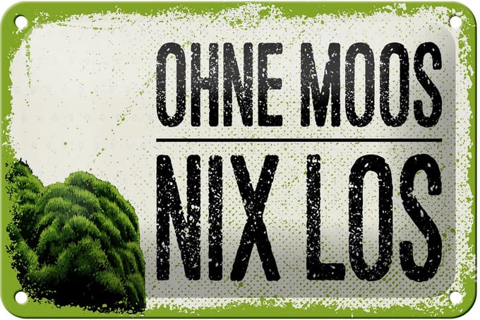 Blechschild Spruch 12x18 cm Ohne Moos nix los Deko Schild