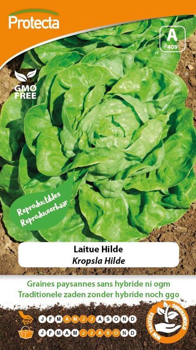 Protecta Groente zaden: Kropsla Hilde