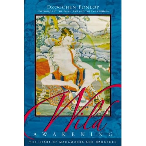 Wild Awakening - Dzogchen Ponlop, Rinpoche