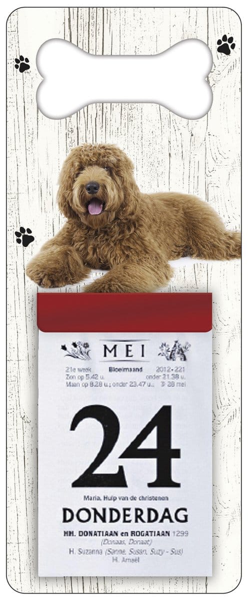 Scheurkalender 2027 Hond: labradodel bruin