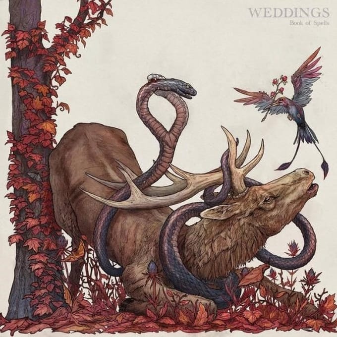 Weddings - Book Of Spells (LP)