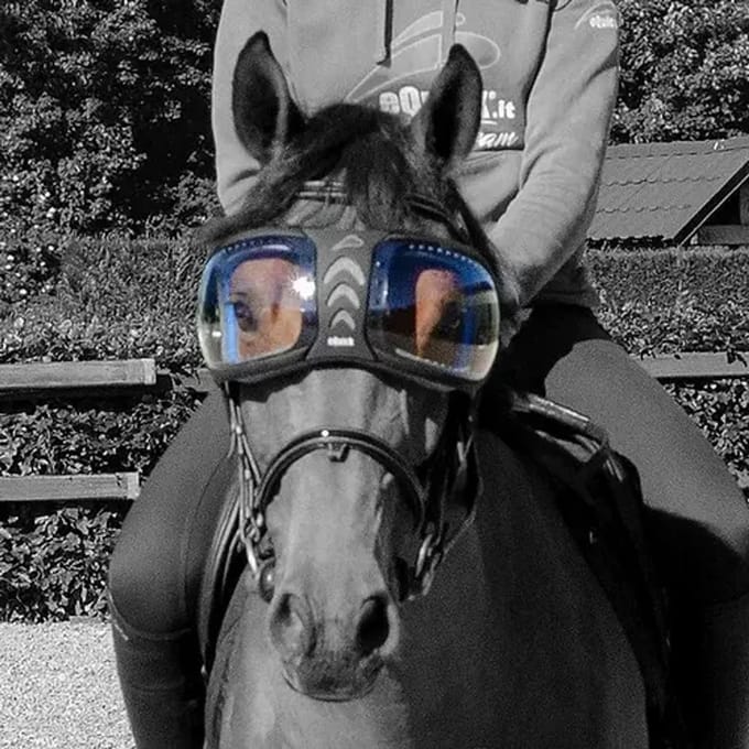 Reserve lenzen voor paardenbrillen eQuick eVysor