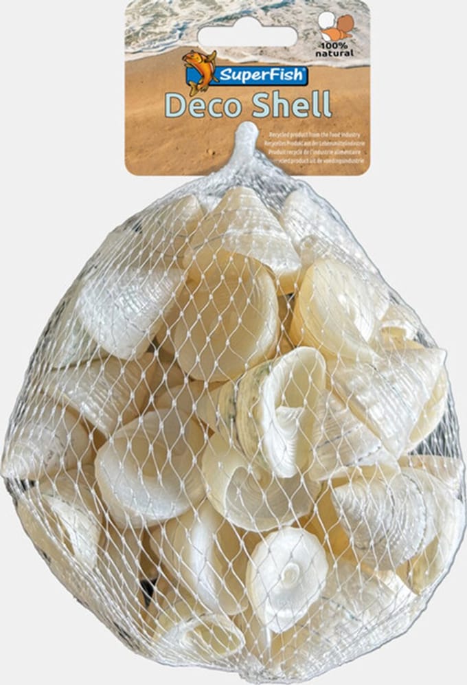 SuperFish Deco schelp spiraal wit | 200 gram | natuurlijke bodemdecoratie voor aquarium