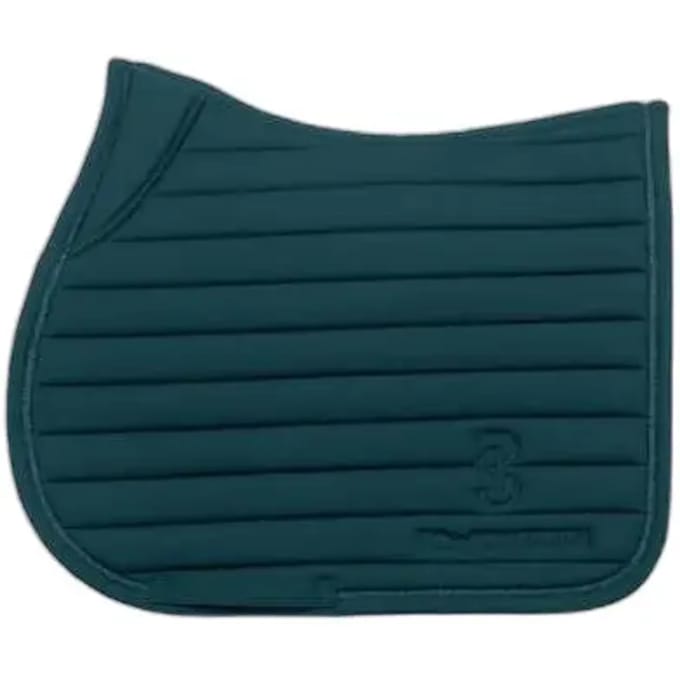 Zadeldoeken PS of Sweden Stripe