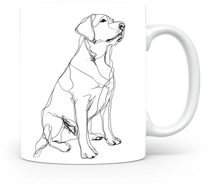 Beker Labrador Retriever
