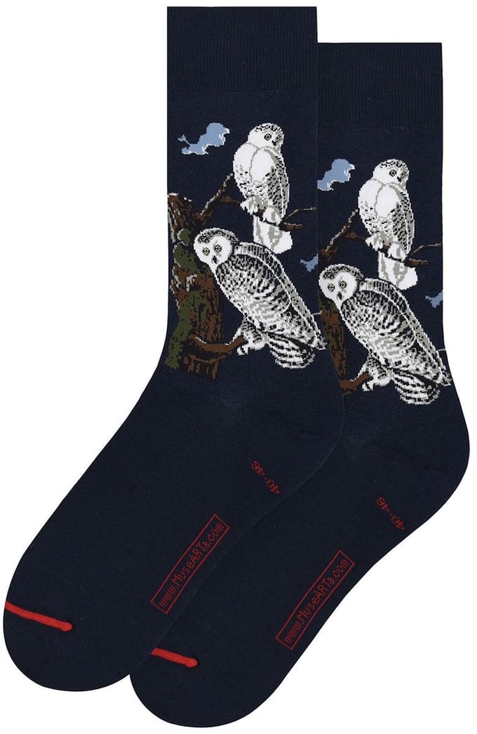 John James Audubon - Snowy Owl 36-40