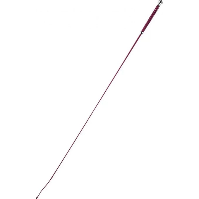 Whip&go Points Dressuur Rijzweep Rood 110 cm