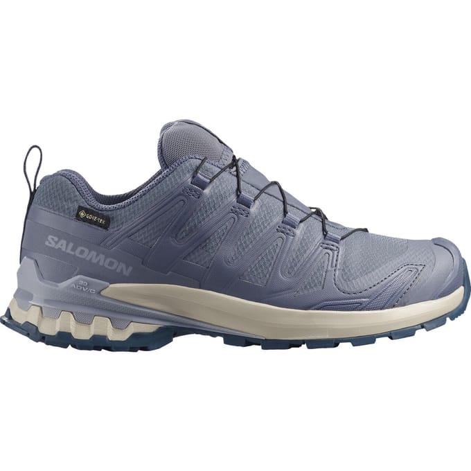 Salomon XA PRO 3D V9 GTX, trailrunningschoen, dames, grijs/blauw