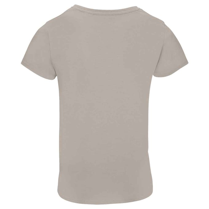 SOLS Dames/Dames Pioneer T-Shirt (Grijze Melange)