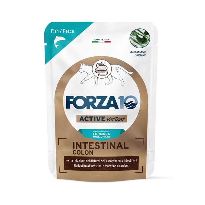 12x80g Forza 10 Intestinal Colon Active Vet Diet witvis nat kattenvoer