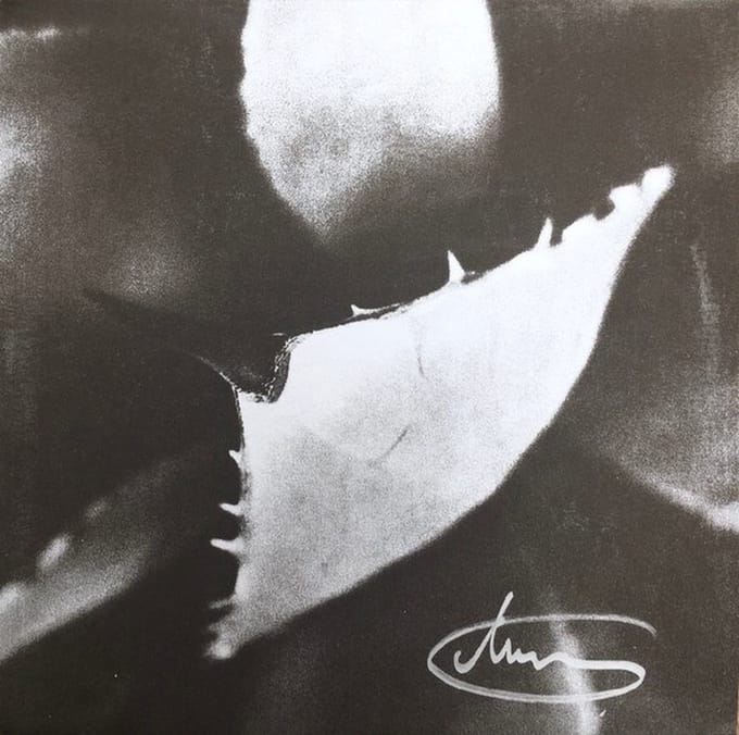 Dirk Serries - Epitaph (2 LP) (Limited Edition)