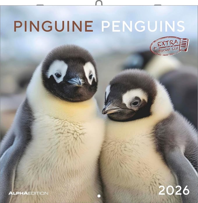 Pinguïn Kalender 2026 - Wandkalender met Ruimte voor Notities - Maandkalender 30x30 cm