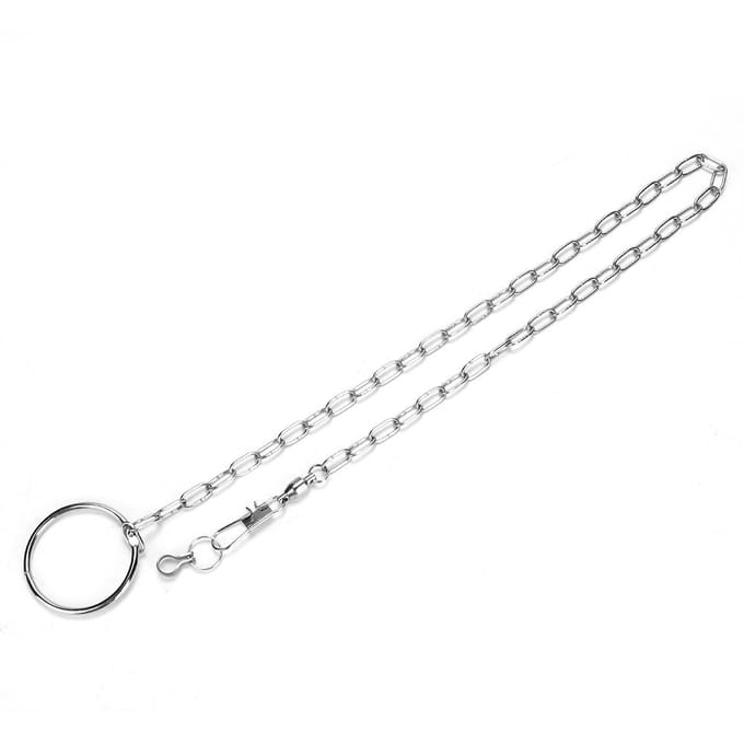 Stainless Steel Pet Birds Parrot Foot Chain Anklet Training Harness  (Psittacula eupatria) white