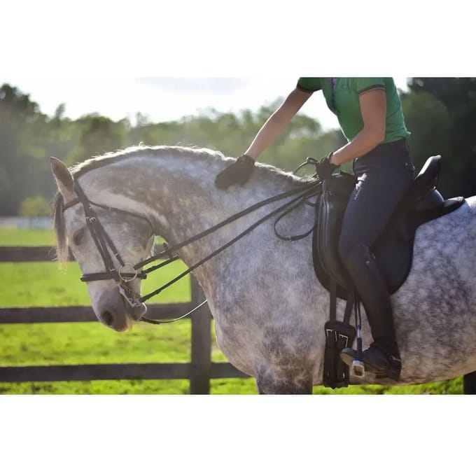 Dressuurmat voor paarden ThinLine