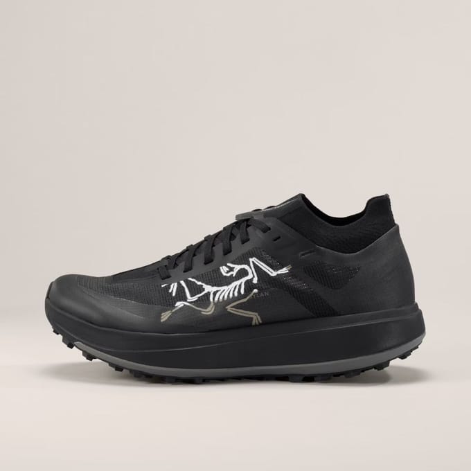 Arcteryx Mens Sylan Pro