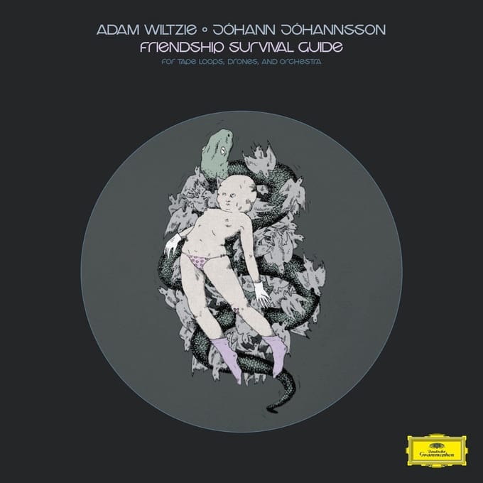 Johann Johannsson & Adam Wiltzie - Friendship Survival Guide (CD)