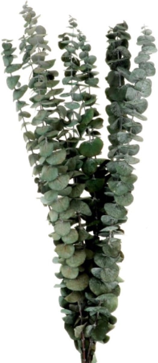 Boeket van gedroogde bloemen Artemio