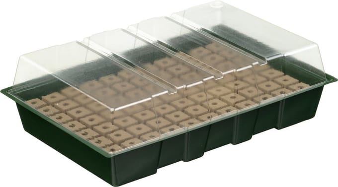 Nature - Kweekbak - met groeimedium - H11 x 35 x 23,5cm - 7 x 11 vakjes