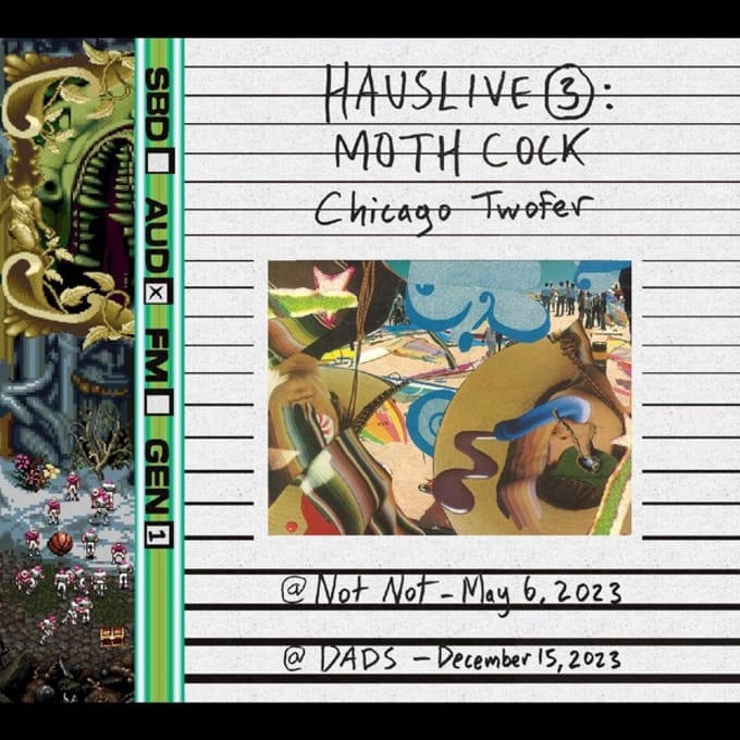 Hauslive 3