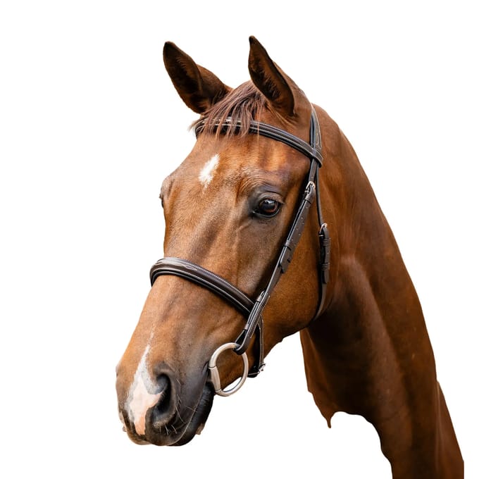Leren rijhalster Horseware Hunter