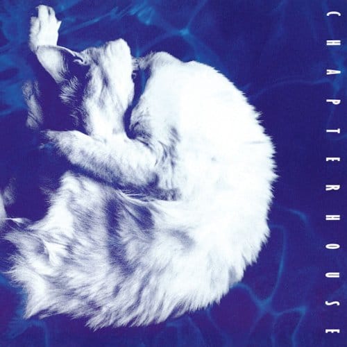 Whirlpool - Chapterhouse
