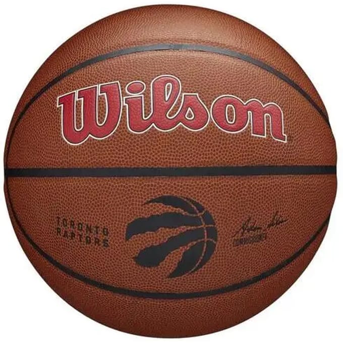 Basketbal Wilson NBA Team Alliance Tor Raptors