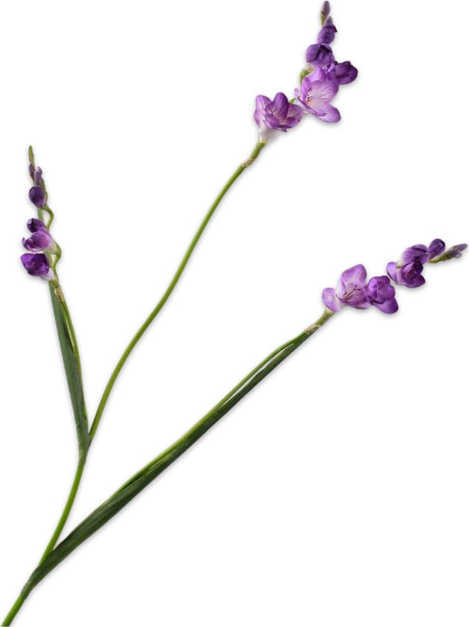 Silk-ka - Kunstbloem - freesia - paars - H83 cm