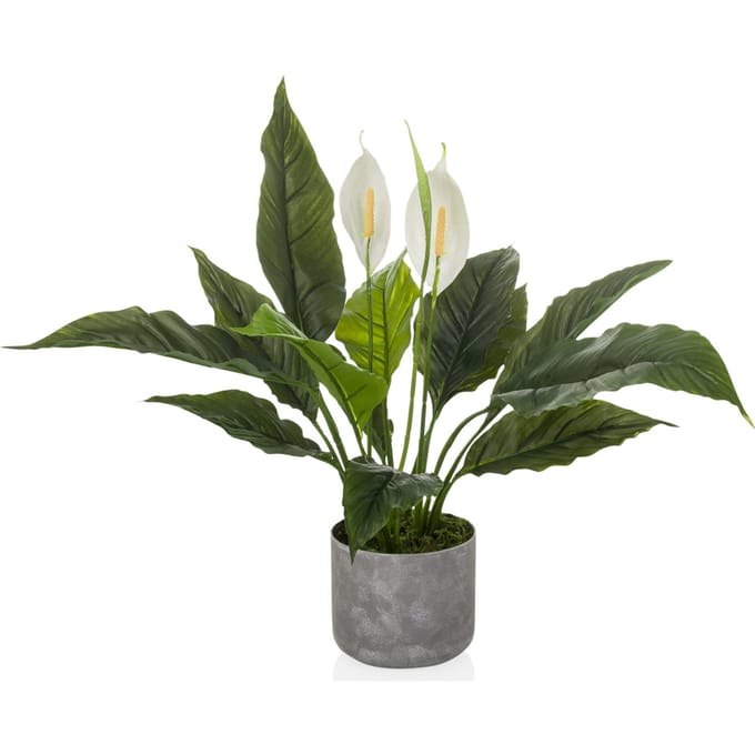 Kunstplant / Kunstbloem SPATHIPHYLLUM 1 blad 60 cm groen / wit hjh OFFICE