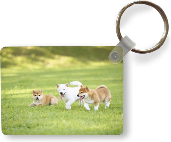 Sleutelhanger - Shiba Inu puppies in het gras - Uitdeelcadeautjes - Plastic