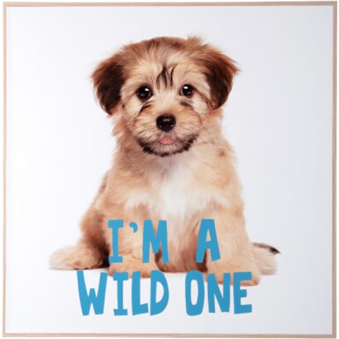 Present Time - Wall Art Puppy I'm A wilde One - Multicolor