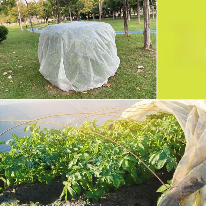 CE - Plantenbeschermhoes - 3x10M - Vorstbestendig - Beschermend