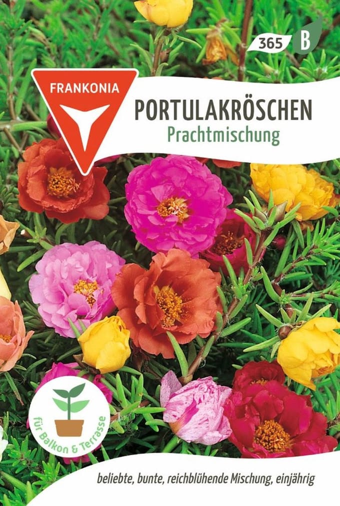 Portulaca, Prachtige Mix - Bestverkochte bloemzaden