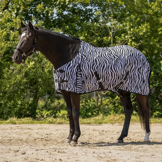 Paardenvliegendeken QHP