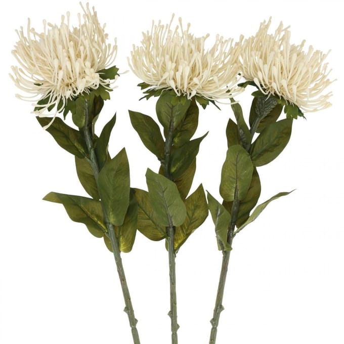 Speldenkussen kunstbloemen exotische Protea Leucospermum crème 73cm 3s