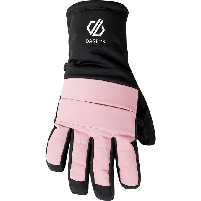 Dare 2B Freeride waterdichte handschoenen voor volwassenen (Lila's)
