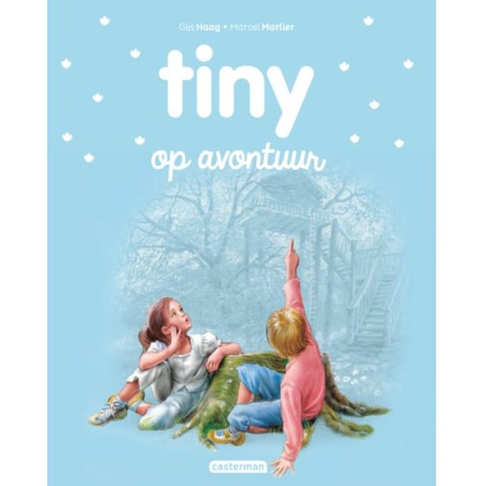 Tiny Op Avontuur - Tiny Nieuwe Stijl - Gijs Haag