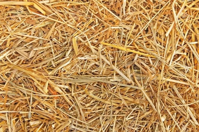 Eckhardt Stro 2,5 kilo (75 liter)