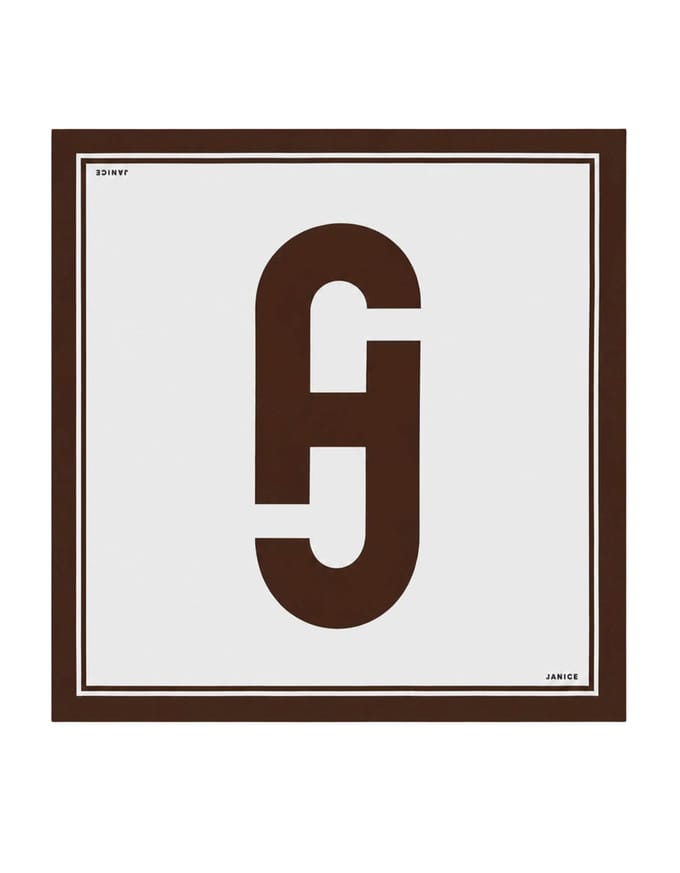 Janice Effron Sjaals Bruin Effron Logo